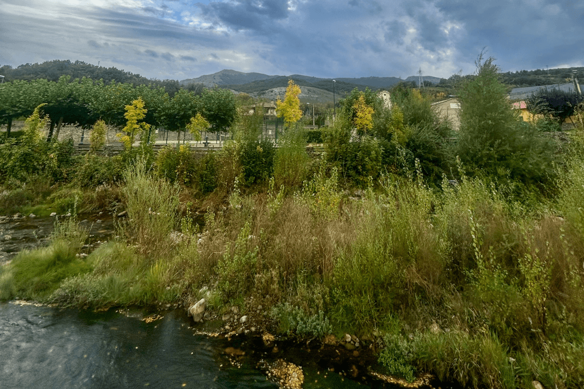 Descubre la Reserva de la Biosfera del Alto Bernesga: naturaleza salvaje en estado puro