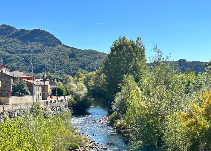 Untitled (1920 x 900 px)